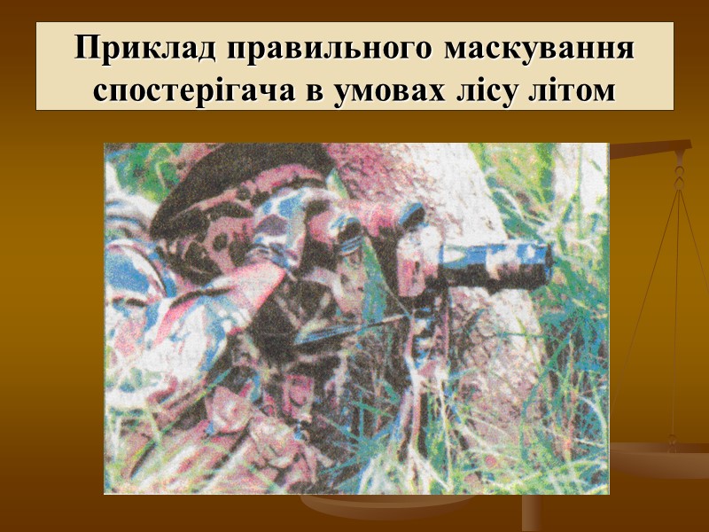 Приклад правильного маскування спостерігача в умовах лісу літом